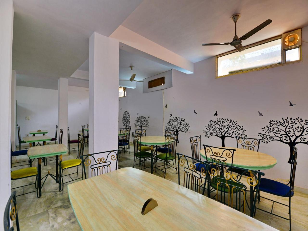 Oyo 8051 Don Jon Hotel Jaipur